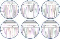 DNA sequencing illustration